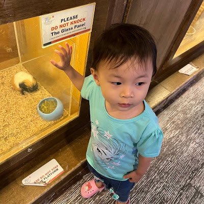 DavidOng811800's profile picture. 