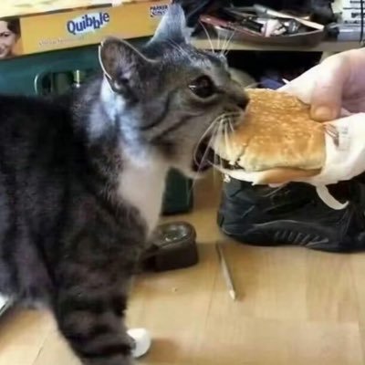 Xihu0101's profile picture. 