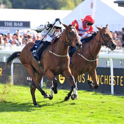 TobyyBrandd's profile picture. Part owner of multiple horses with NBR 🐎