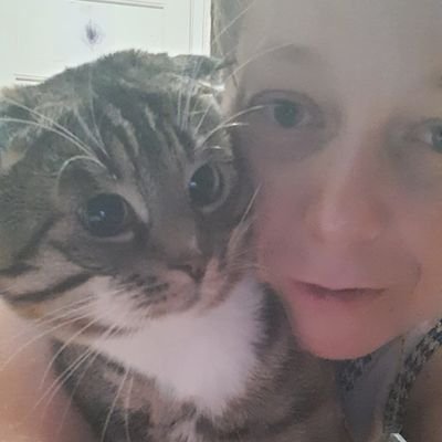 dobroeserdce_k's profile picture. ПОМОГАЕМ ВЫЖИТЬ 80🐈 и 3 🐕 

____
 Помочь котикам
СБ 5469 9802 4588 4305
Быстрые переводы  89622651178
По помощи paypal пишите  в личку 🙏🏻