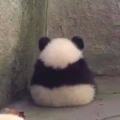 driele_nha10's profile picture. Se stai meditando e arriva un diavolo, metti quel diavolo a meditare.