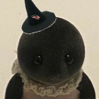 0rthomul50's profile picture. 케이티위즈가 내 오쏘몰이라니