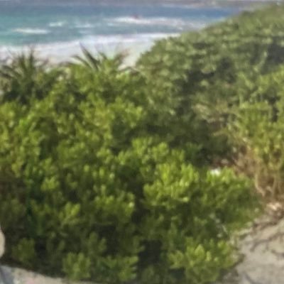 shakaka_pr's profile picture. 看護師