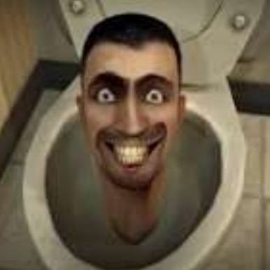 Skibidisarkaar's profile picture. Skibidi 😁