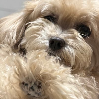 da_02030's profile picture. ..