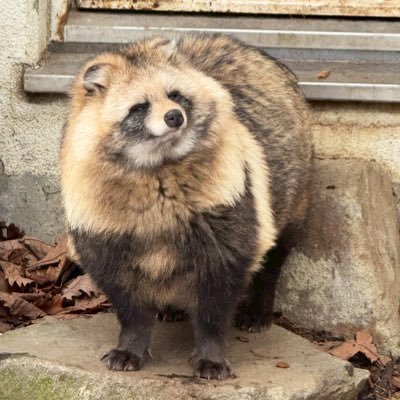 miotar0u's profile picture. 成人済 / 🟩右 / 🟧🟩 / 🟥🟩 / 壁打ち / 自分の性癖にしか考慮しませんのでフォロー注意してください。