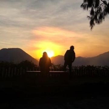 pensushoki's profile picture. 