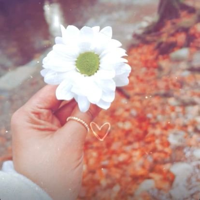 aditi_183's profile picture. Woman with self respect glows differently ❤️