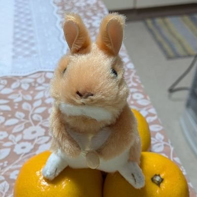 Isl2u0qAY4fRlDC's profile picture. 幼少期は姫路城🏯の近くで育成。結婚後すぐ転勤で東京に。東京に来てすぐUCに出会い7年後3万双㊗️
マスメディア漬けの主人👴（笑）🐶🐾と孫娘👩‍🎓(大学生)と暮らしている。🇰🇷大韓民国🇰🇷が心配で見守っています。
🌍️One Family Under God🌍️
⏹️DMは返信しません。