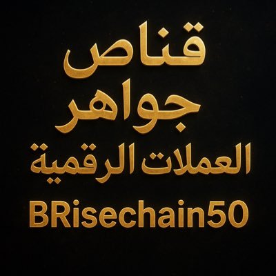 BRisechain50's profile picture. Blockchain و Ai و RWA و metaverse و NFTs و DeFi و CeFi و BRC-20 و ERC-20 و DEXs و CEXs و DePIN و DeAi