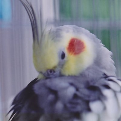 Ponta2430's profile picture. 2022年50代でパニック障害による休職をきっかけに情報処理技術者試験へのチャレンジをスタート/2024年 応用技術者合格/2025年 情報処理安全確保支援士に合格&登録/2026年ネットワークスペシャリスト受験予定/仕事は経理部署でDX推進担当/パニック障害の克服出来たらいいな