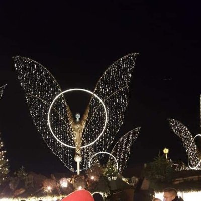 EllenLooprg3's profile picture. 