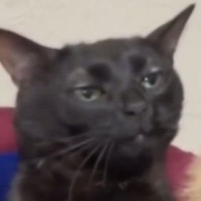 DriDri39659's profile picture. 