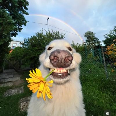 Growths195763's profile picture. 