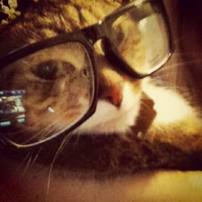 aynacluv's profile picture. 