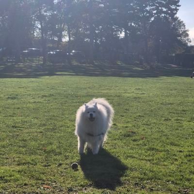 swspurs's profile picture. Enjoying all life has to offer. travel, food, family and friends...and permanently tormented by the mighty Spurs.