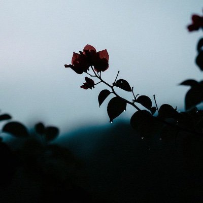 marni__4x's profile picture. 