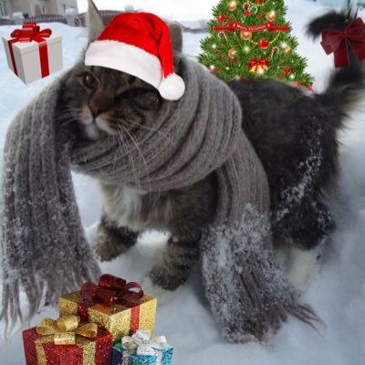 ny4wnz's profile picture. ≽^-⩊-^≼ mentally chill cat enjoyer. #eyekon #faded #clairvoyant