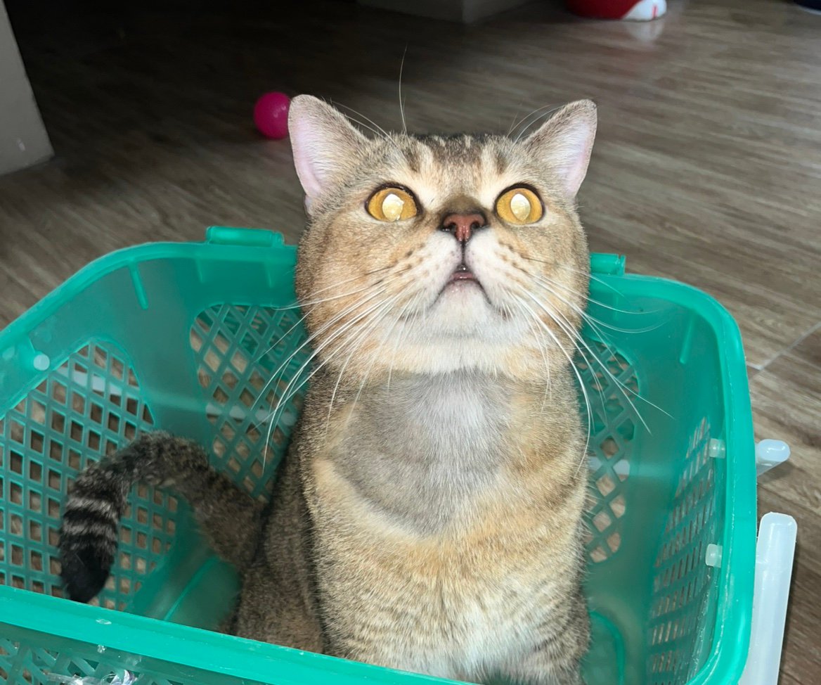 mrBeer77's profile picture. 