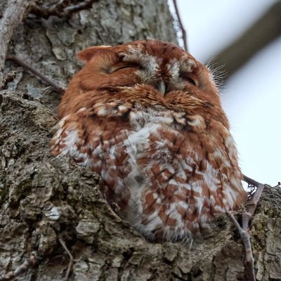 kkmrgndrffr's profile picture. 