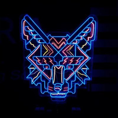 FundamentalWolf's profile picture. The harder this market gets, the harder I work. Fundamentals · TA · On-chain.