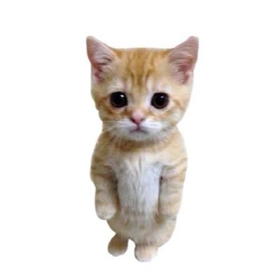 xxxwhyami's profile picture. 