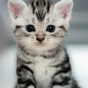 accusating's profile picture. 18

https://t.co/tyZs9pRI6J