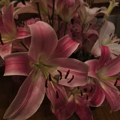 th9vl's profile picture. رَبِّ اجْعَلْنِي مُقِيمَ الصَّلَاةِ وَمِن ذُرِّيَّتِي ۚ رَبَّنَا وَتَقَبَّلْ دُعَاءِ