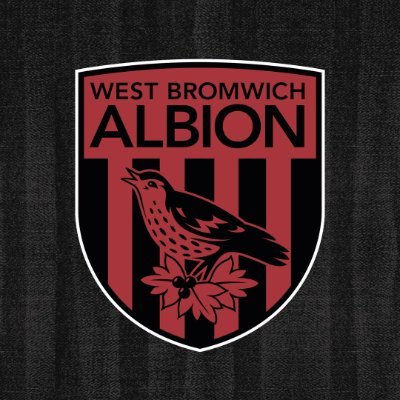 WBA's profile picture. The Albion. Bonded by belief since 1878. 💙🤍