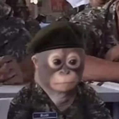 FL0RES17's profile picture. 🇵🇹