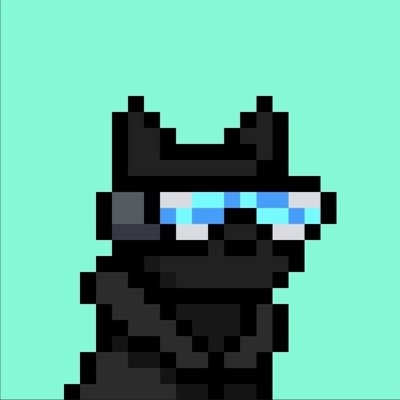 rivaura's profile picture. 