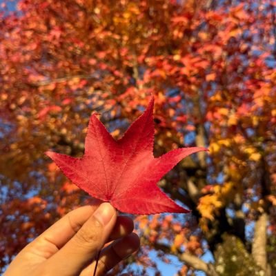 grip4you12's profile picture. ただ、やることを好む

*やってみるまで、いつも不可能に思える