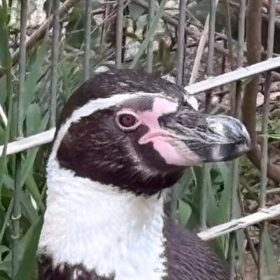 tilde_univ's profile picture. 