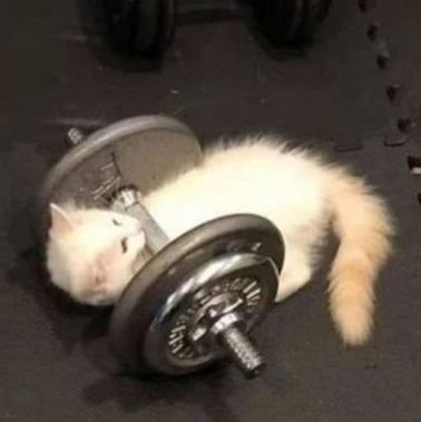 EuIsa_Soares's profile picture. falo muita asneira e coisas meio nerd