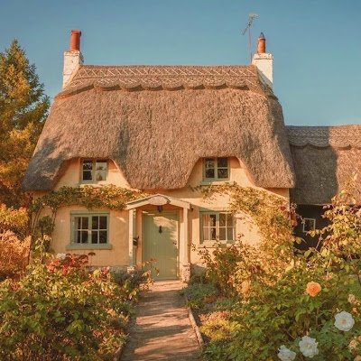 thanhhungg102's profile picture. 