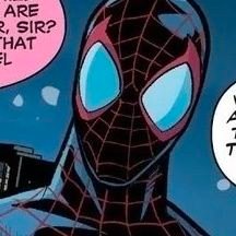 MilesOfSpiders's profile picture. MDNI, lewd/non-lewd.