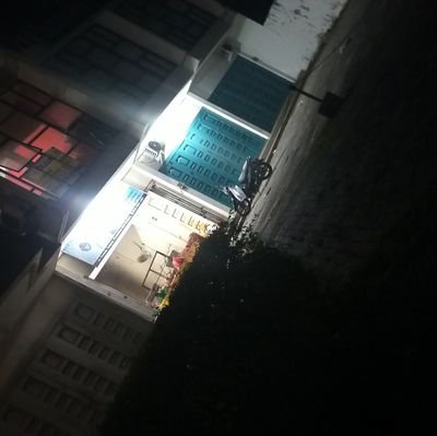 AldiAlfaya3133's profile picture. 