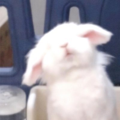 tuz666999's profile picture. 恭喜你找到了我🎀 无主小狗 当朋友圈发 （私信只回支付宝口令） 🚪520 /1314分享日常新拍的照片 点赞是对我最大的肯定~超喜欢被夸夸喜欢有礼貌的人 已过小新@xyberdolls 大佛的小屋 @DaFoer_ 日理万姬@SexytoBaby等各大百万推主原创验证