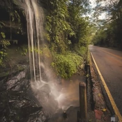 Diaz857Esea's profile picture. 