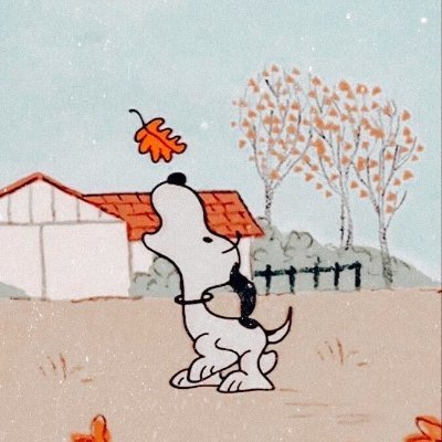 roadto80pct's profile picture. sports, movies, cats // also: phillymikan, georgemikan