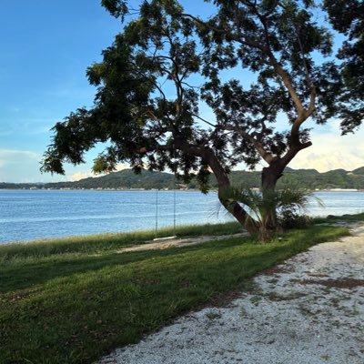 2H6yLLzM4EBI4xd's profile picture. 九州未接種 93年/同じ価値観人と繋がりたい🌷ゆるゆる無添加/酵素玄米/organicシェディング/休息日は大事。旅行✈️癒される自然とのんびりした空間、cafe好き☕️🧁 お家をcafeのような空間を理想に♦️気軽にお話ししたいです。医療従事者ですが、気づいてます。パートナー、お友達募集中。45