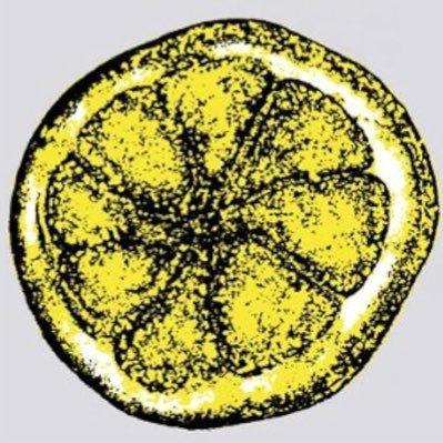 BarringtonChes2's profile picture. @boxoftrashmusic guitarist and black tsar bassist