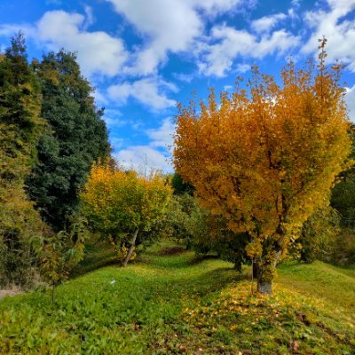 westfence666's profile picture. 失敗も経験も含めて学びをシェア📝｜不器用でも挑戦できる方法を整理して発信｜同じ初心者の方が参考になる情報をリアルに記録✨