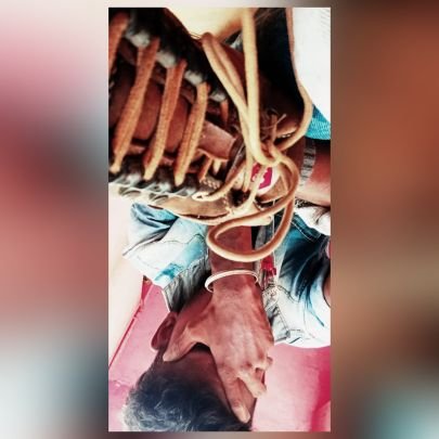 IWasHighThatDay's profile picture. everything and nothing.
குறள்-336.

எம்மா கல்யாணமாயிருச்சுமா எம்மோவ். 🚀👋🏼