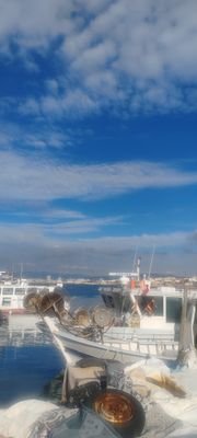 OLIVIEROM's profile picture. 