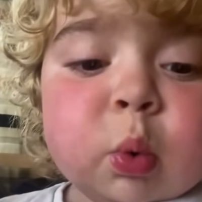 catttestt's profile picture. And we will fight !