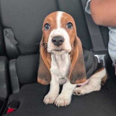 anniesherann's profile picture. 