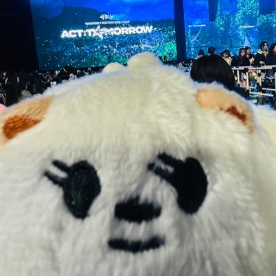 vBGv352093's profile picture. 大人MOA/🐰🦊🧸🐿🐧/時々SVT･BTS/大人MOAさんと仲良くなりたい🥺