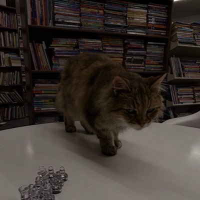 TytoXOs's profile picture. 