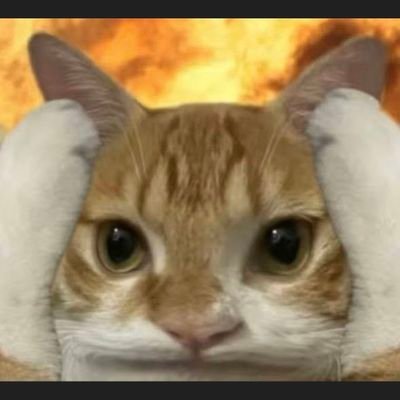 rainfallautumn1's profile picture. 